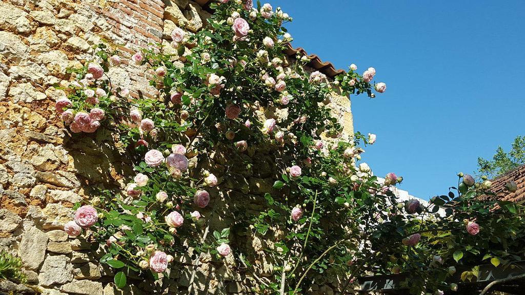 Le Clos Des Songes Saint-Leon-sur-Vezere Ngoại thất bức ảnh